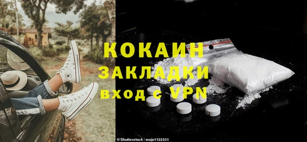 ПСИЛОЦИБИНОВЫЕ ГРИБЫ Вязьма